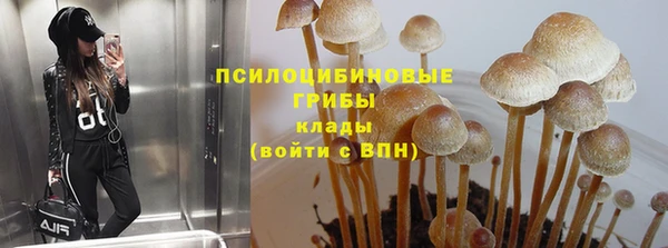 герыч Осинники